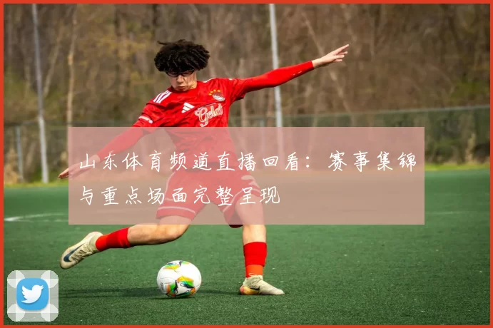 山东体育频道直播回看：赛事集锦与重点场面完整呈现