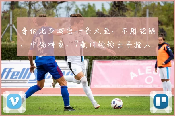 哥伦比亚游出一条大鱼，不用花钱，中场神童，7豪门纷纷出手抢人