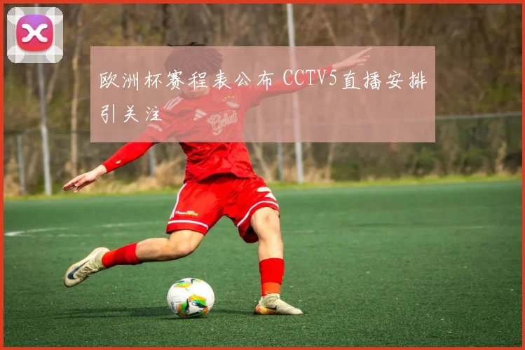 欧洲杯赛程表公布 CCTV5直播安排引关注
